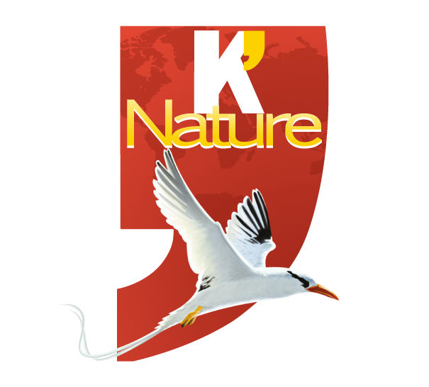 K' Nature
